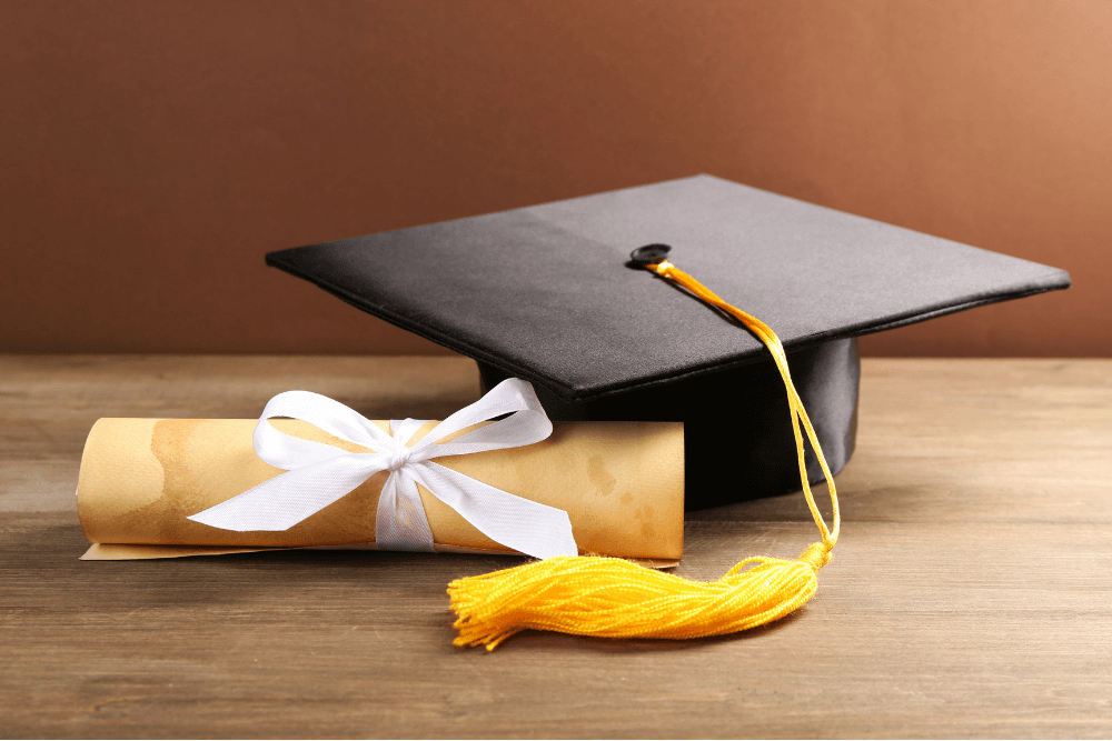 Diploma Courses After Matric vs BS Degree Programs